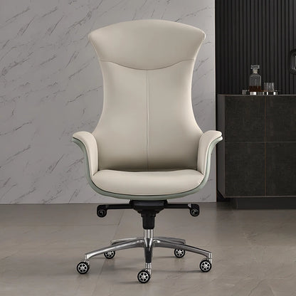 Modern Computer Desks Vanity Chair Living Room Barber Chair Floor Luxury Office Desk Sillon Reclinable Theater Furniture