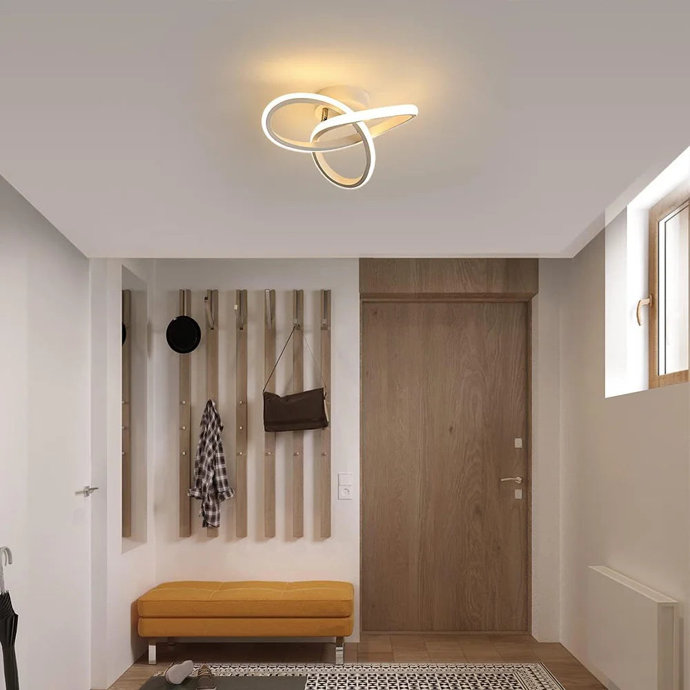 Modern LED Ceiling Light