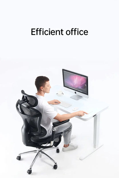 Sihoo A3 High Quality Back Mesh Fabric Swivel Computer Desk Chair Luxury Ergonomic Gray Office Chairs With Headrest