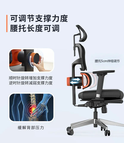 Study Executive Ergonomic Office Chairs Gaming Computer Mobile Cushion Office Chairs Swive Silla Escritorio Furniture