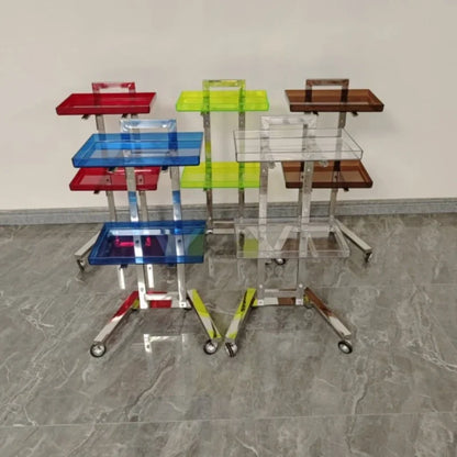 Utility Equipment Salon Trolley Beauty Cosmetic Storage Tattoo Salon Trolley Carrello Attrezzi Commercial Furniture RR50ST