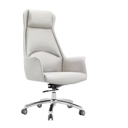 Ergonomic Living Room Office Chair Barber Relaxing Floor Makeup Office Chairs Backrest Accent Sillas De Escritorio Furniture