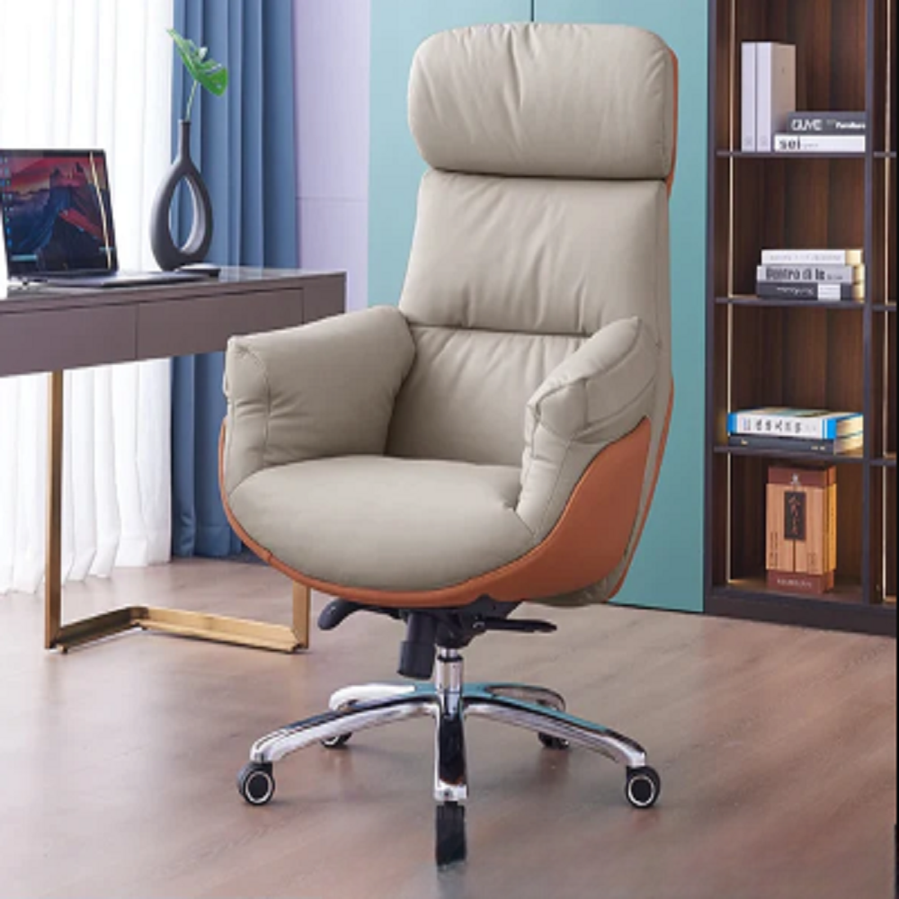 Relaxing Ergonomic Office Chair Cushion Designer Backrest Makeup Office Chairs Nordic Floor Sillas De Oficina Home Furniture