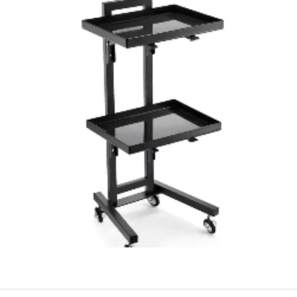 Utility Equipment Salon Trolley Beauty Cosmetic Storage Tattoo Salon Trolley Carrello Attrezzi Commercial Furniture RR50ST